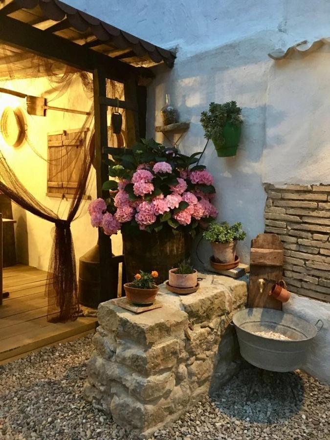 La Mimosa Villa Carcastillo ภายนอก รูปภาพ